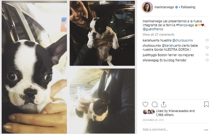 La perrita de raza bulldog francés, llegó a sus vidas en diciembre de 2015 y así anunciaron por Instagram que la familia crecía.