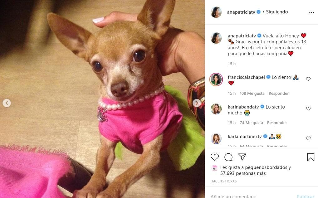 Ana Patricia Gámez anunció que, tras 13 años juntas, Honey Berry partió al cielo.