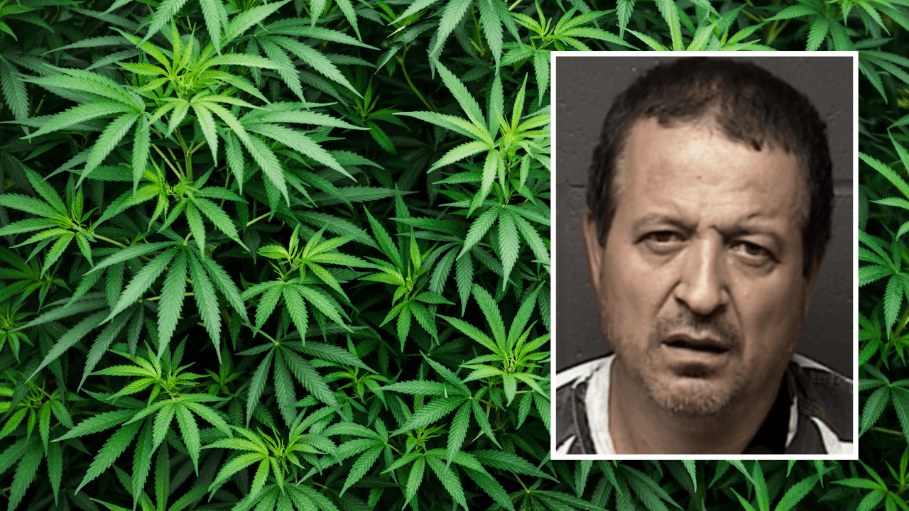 Él es el presunto responsable del tiroteo fatal en un cultivo ilegal de marihuana en el condado de Mariposa