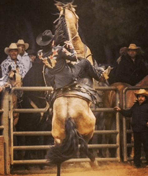 A pesar de no considerarse un experimentado jinete, Julián Figueroa asegura llevar en la sangre el gusto por los caballos y por la música ranchera y de banda.