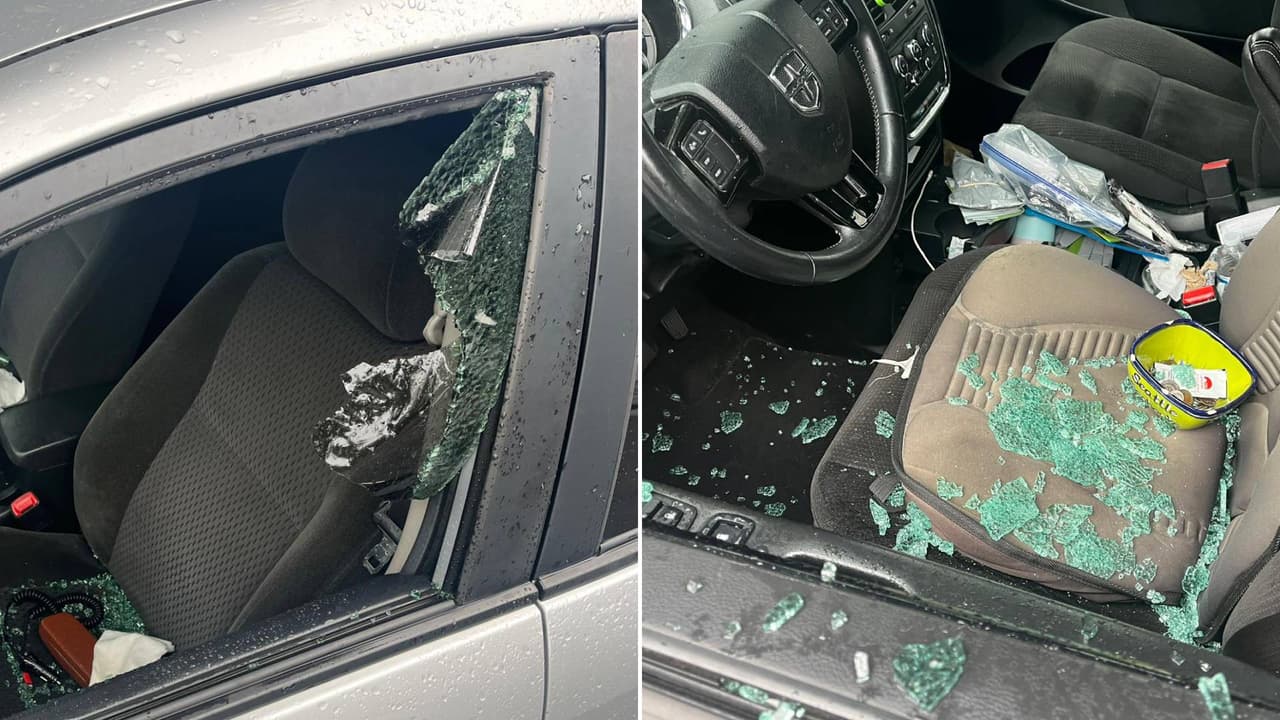 Vandalizan más de 60 vehículos en los alrededores de Sacramento State