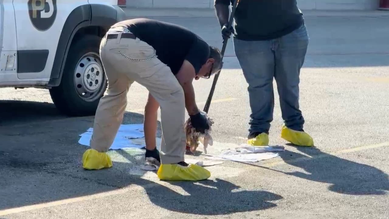 Personal limpia parte del estacionamiento de una tienda Target, luego de un tiroteo en el lugar.