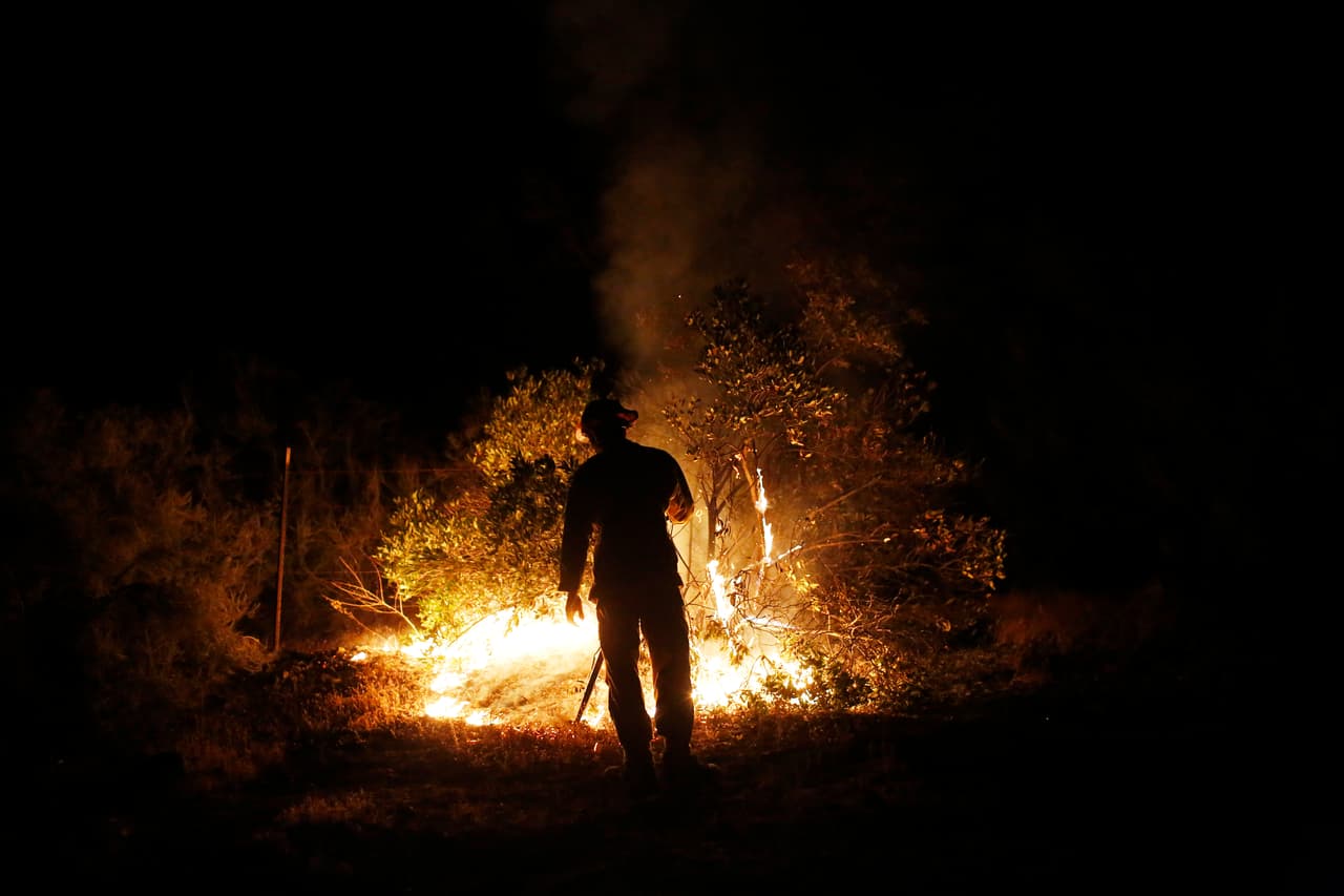 Incendios forestales en CA han destruido más de 197 mil acres
