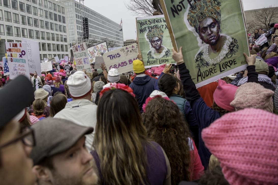 Millones de personas usaron internet para organizar protestas contra el gobierno de Trump en enero. La más concurrida fue la Marcha de las Mujeres en Washington DC.