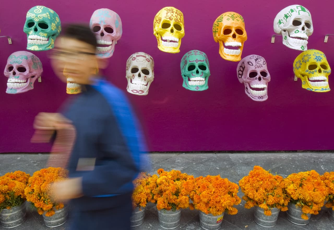 El cempasúchil en sí es toda una maravilla más allá de la tradición del Día de Muertos. En México se dan 35 de las 58 especies diferentes que existen en el mundo, de las distintas tagetes variantes. Se da en múltiples estados de la República Mexicana como Oaxaca, Guerrero, Hidalgo, Morelos, San Luis Potosí, Tlaxcala y Durango.