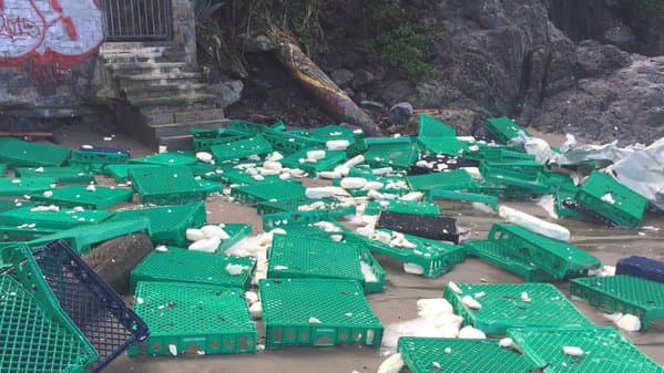 Contenedores de una embarcación llegan a las costas de Baker Beach