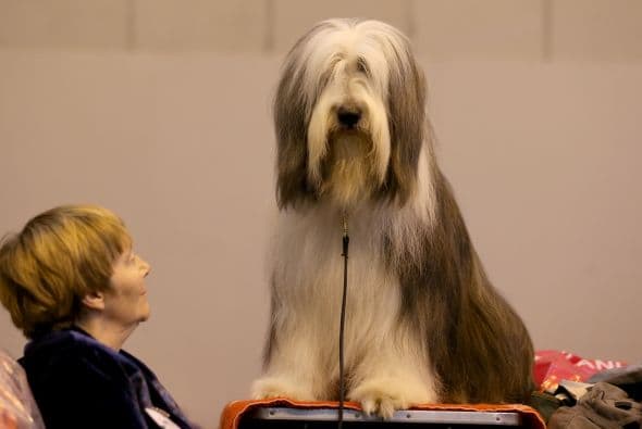 Peso y altura también son evaluados.