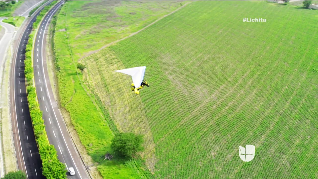 Al parecer, nuevamente confía en ti.