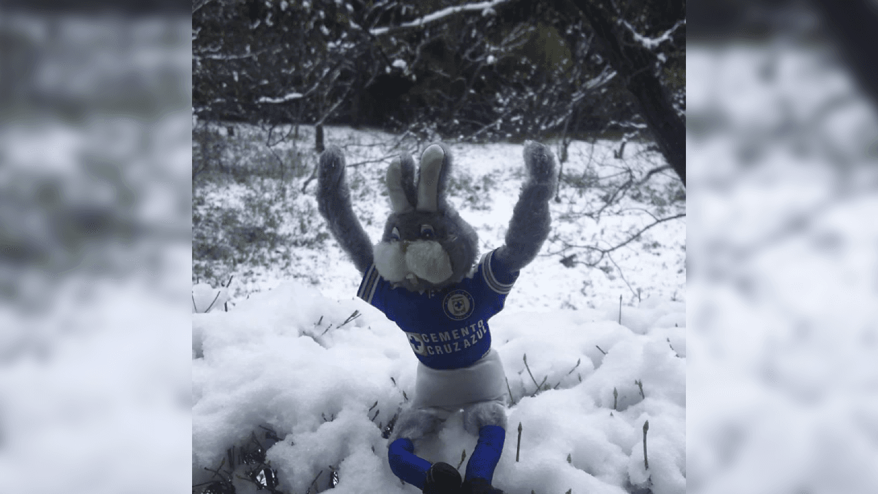 Así es como los memes se aprovechan de Cruz Azul y de sus aficionados a pesar del coronavirus.