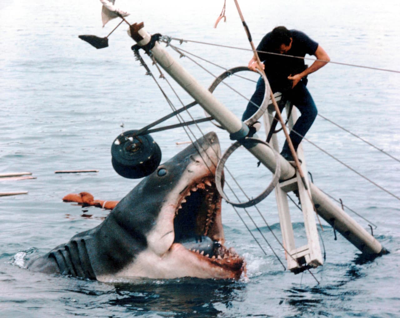 'Jaws' de Steven Spielberg.