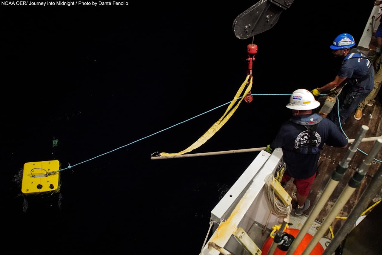 El "monstruo marino" que vive en las aguas del Golfo de México fue captado en imágenes en la segunda expedición en la que fue parte el Centro para la Conservación e Investigación del Zoológico de San Antonio.