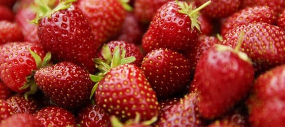 Además son bajas en calorías, contienen vitaminas del grupo B, como la B6, la niacina, la riboflavina, el ácido pantoténico y el ácido fólico.