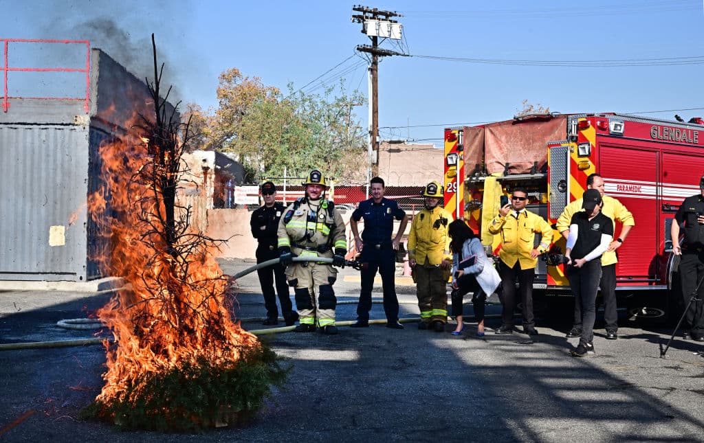 <b>2. Un pino natural, seco</b>
<br>
<br>Aunque este año pareció adelantarse, generalmente, es durante la celebración del Día de Acción de Gracias o poco después que se coloca el tradicional árbol de Navidad. Aunque a los naturales se recomienda echarle agua, hay quienes no lo hacen con consistencia. Así las cosas, mantienen al pino, secándose y bajo el calor de las luces navideñas, hasta el 6 de enero. Ignoran que el riesgo, con cada día que pasa, es mayor.