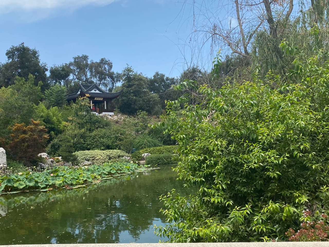 Si bien el terreno de la gran biblioteca no escapa de los embates de la sequía en California, sus casi 500 trabajadores y los miles de voluntarios de la organización tratan de mantener el resplandor del terreno.