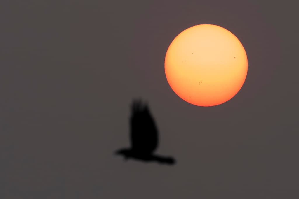 También este día podría haber retrasos en los aeropuertos de las áreas de Baltimore y DC.
<br>