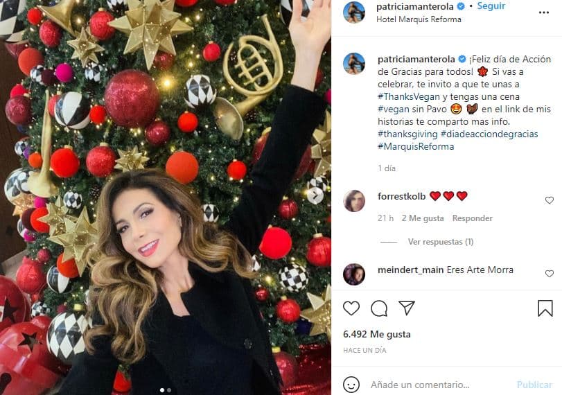 Panty Manterola disfruta árbol de navidad