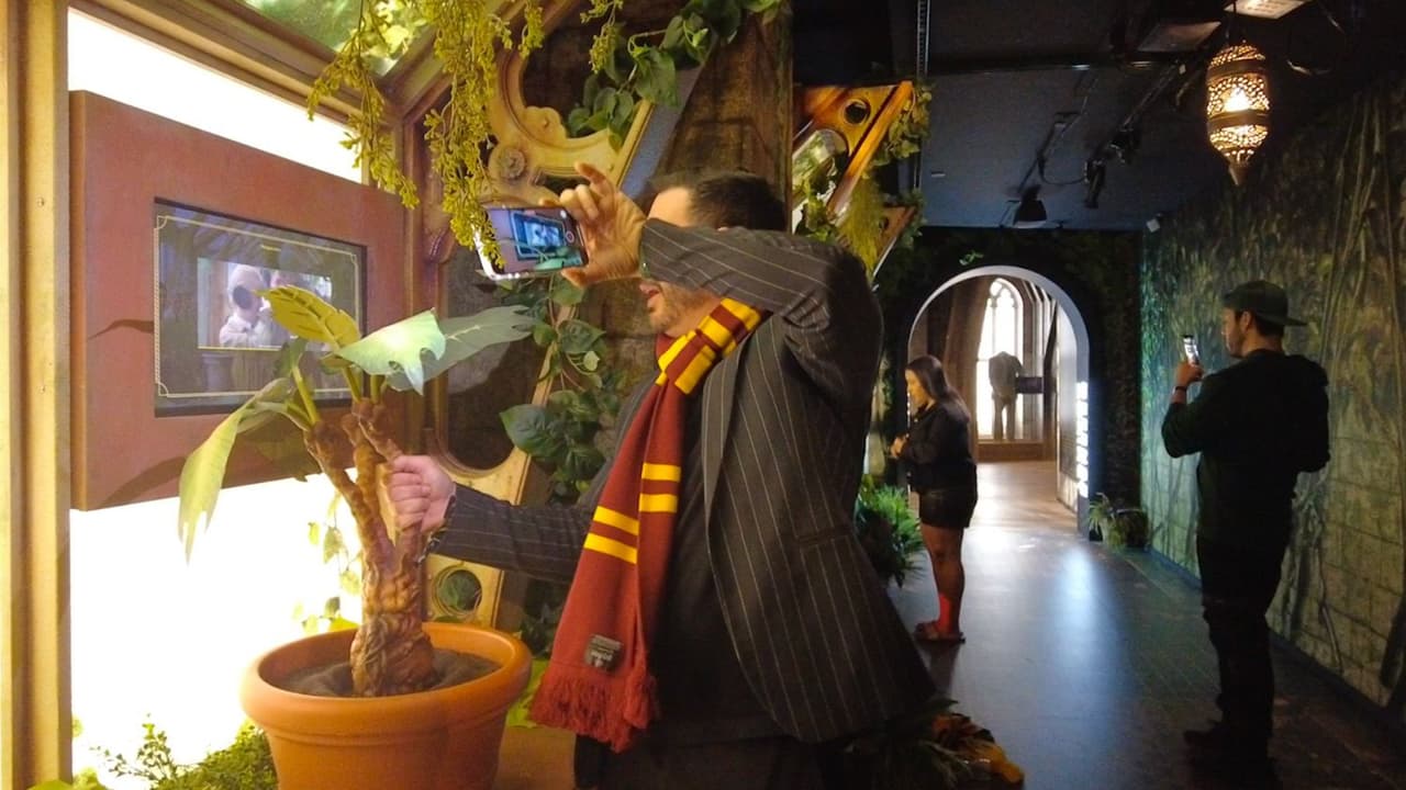 Durante el recorrido, encontrarás disfraces originales y accesorios auténticos de la saga, como bufandas alusivas a los uniformes de la película, plantas mágicas, varitas y entornos pintorescos.