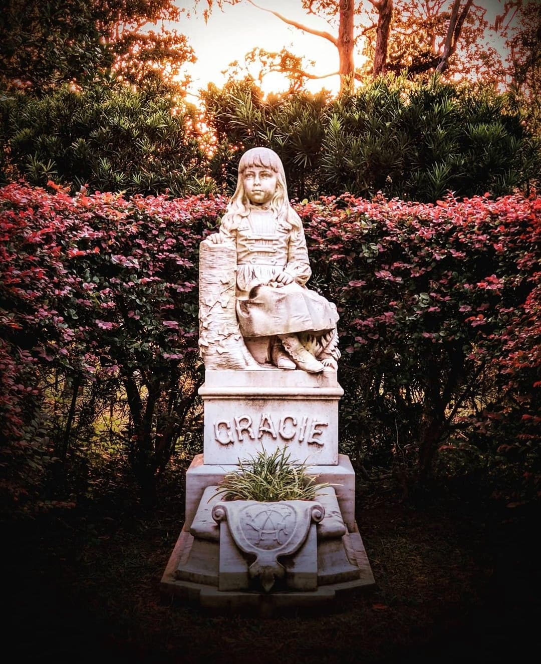 Otras historias personales también se han vuelto famosas a lo largo de la historia, como la de la pequeña Gracie Watson.