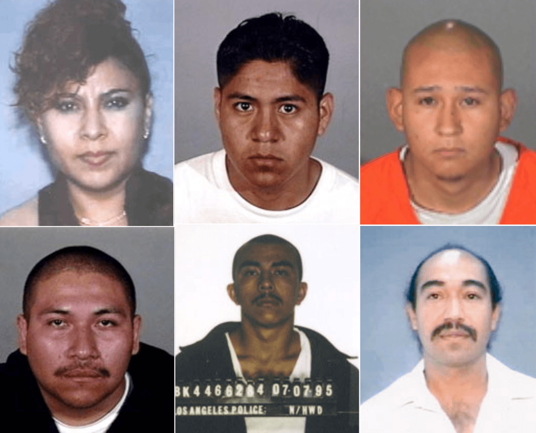 Han sido acusados -o son sospechosos- de asesinatos, secuestros y otros delitos. Si usted tiene alguna información sobre estos individuos, por favor comuníquese con la division de LAPD más cercana. La autoridades creen que algunos de estos sujetos se ocultan en México y Centroamérica. Si usted está en el extranjero y conoce el paradero de alguna de estas personas busque la embajada o consulado de Estados Unidos más cercana.