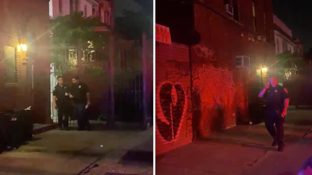 Niño muere tras ser atacado en Brooklyn por el perro Rottweiler de la familia