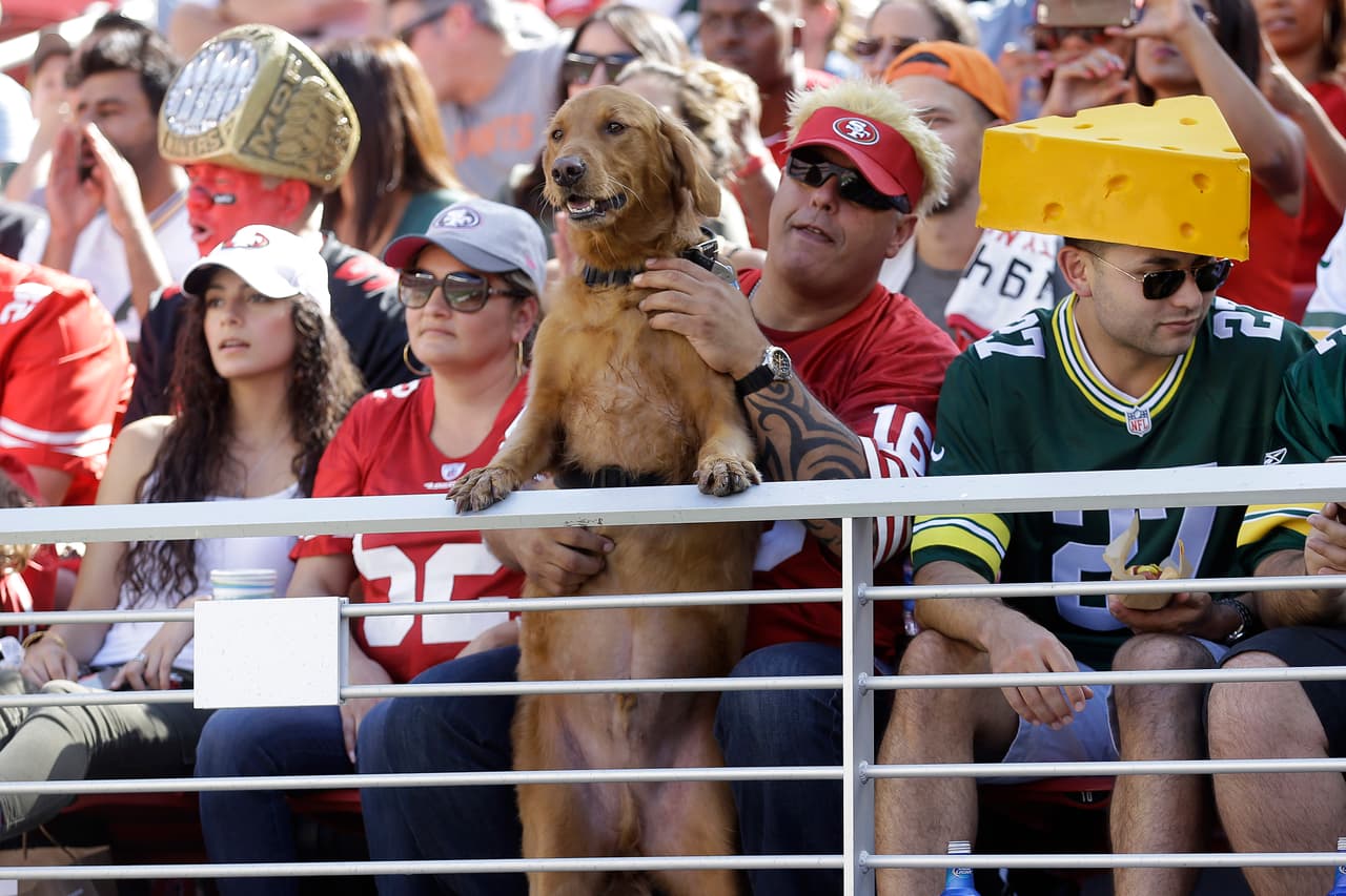 Mantenga a los animalitos fuera de las superficies de cocina y mostradores para evitar que tiren cosas sobre el quemador.
<br>