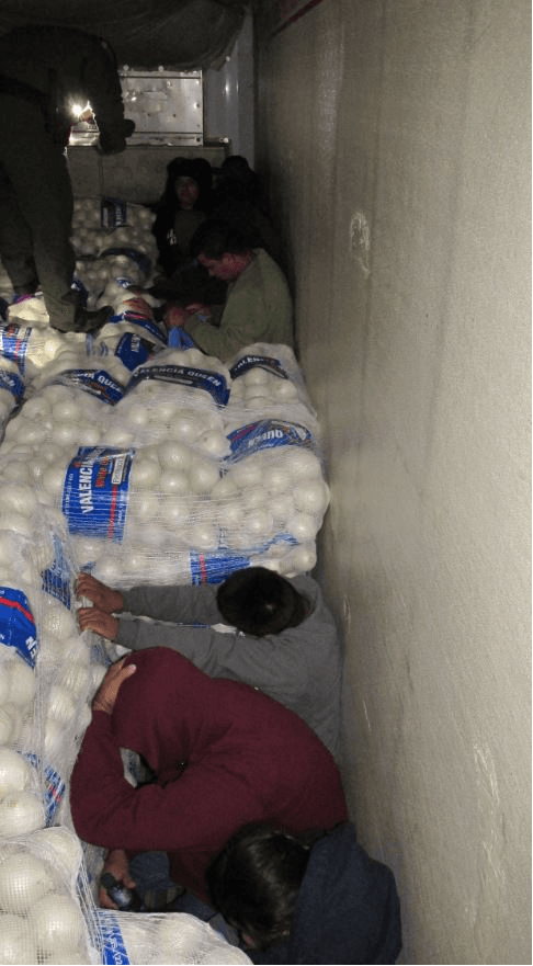 Al ser detenido, los agentes enviaron al camión a una inspección secundaria en donde un perro detectó algo, por lo que los agentes abrieron el remolque y encontraron a 14 personas indocumentadas ocultas entre sacos de cebollas.