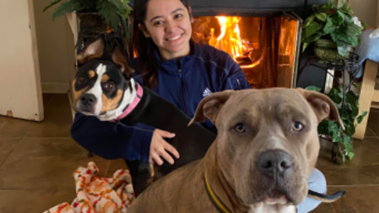 <b>María Bojorquez:</b> Son mis dos mascotas muy queridas Ringo y Laci, me encanta tomarles fotos.