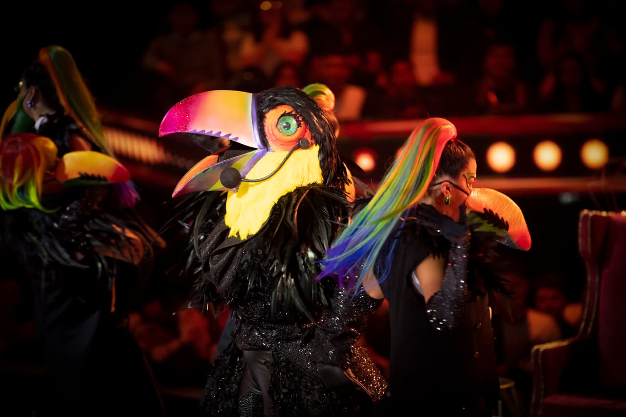 Durante el primer programa, Tucán, quien se presentó en el escenario con el tema 
<b>'Rosa Pastel' de Belanova</b>, no fue salvado ni por los investigadores ni por los jueces y tuvo que despojarse de su máscara. ¡Fuera máscara! al público y a los investigadores les urgía 
<b>averiguar si sus apuestas habían sido las correctas</b>. Juanpa Zurita aseguró que detrás de Tucán se encontraba la conductora Martha Debayle, mientras que Anahí y Carlos Rivera coincidieron en señalar que era Marta Sánchez.