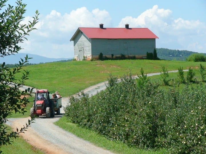 <b><a href="https://mercier-orchards.com/" target="_blank">Mercier Orchards (8660 Blue Ridge Dr, Blue Ridge)</a></b>: Mercier Orchards es un huerto de manzanas operado y de propiedad familiar de cuarta generación. Las variedades de manzana más populares que se cultivan son Pink Lady, Fuji, Mutsu y Cameos. En esta granja podrás recoger tus propios frutos.