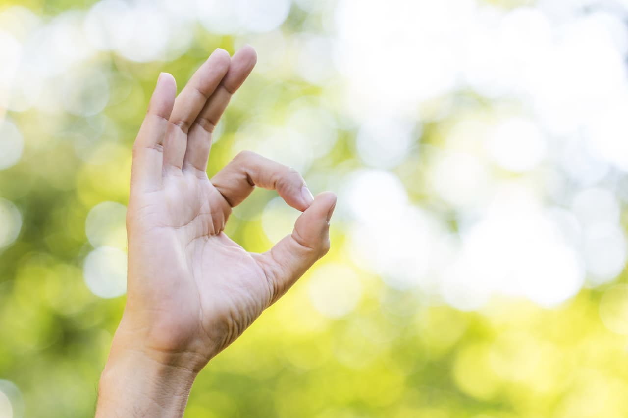 Estas son las manos que más abundan porque tienen de todo. Cuesta trabajo interpretarlas porque combinan todo, pero lo que sí parece ser cierto es que ¡nunca se aburren! Son las manos de quienes prefieren vivir al día, con metas que puedan cumplir y si no lo logran se sienten frustrados, pero siempre esperanzados que “mañana” lo realizarán.