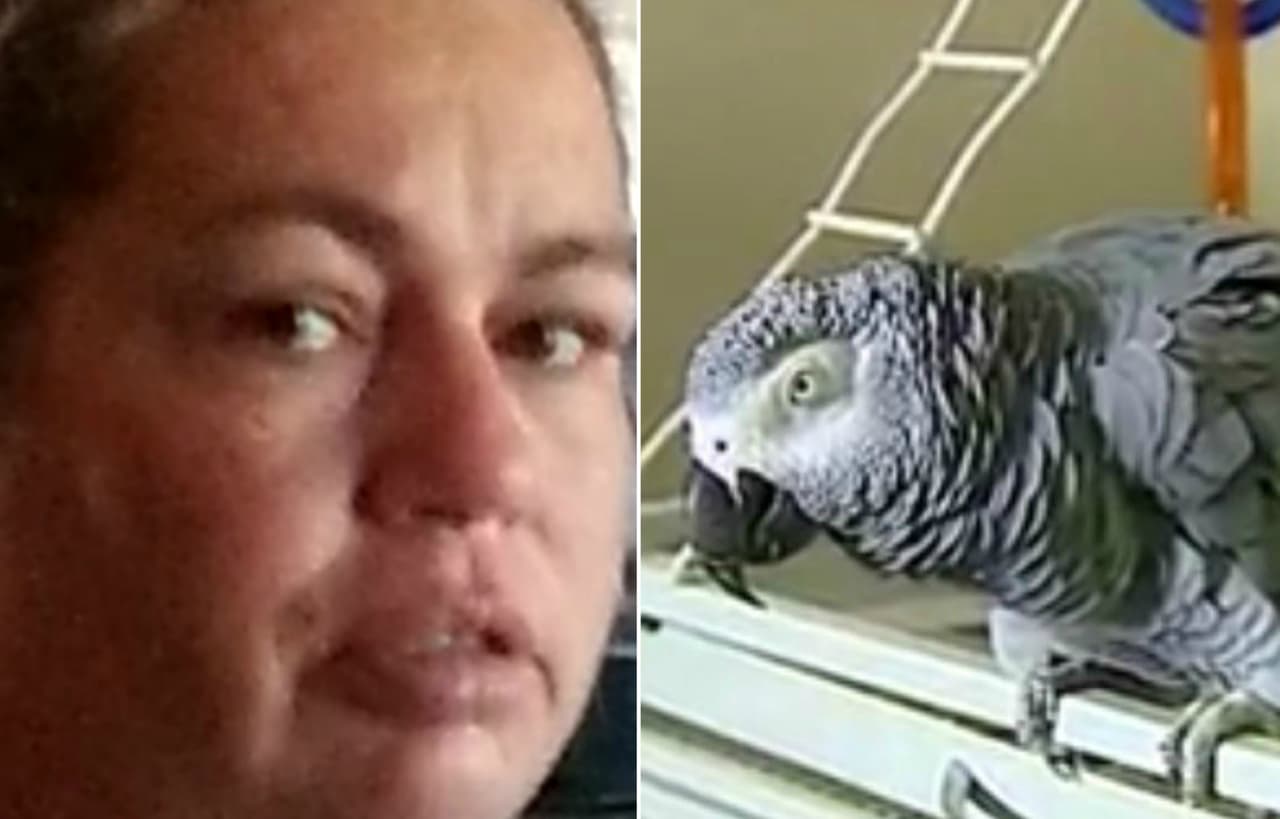 Hallan culpable a mujer que asesinó a su marido frente a perico hablador