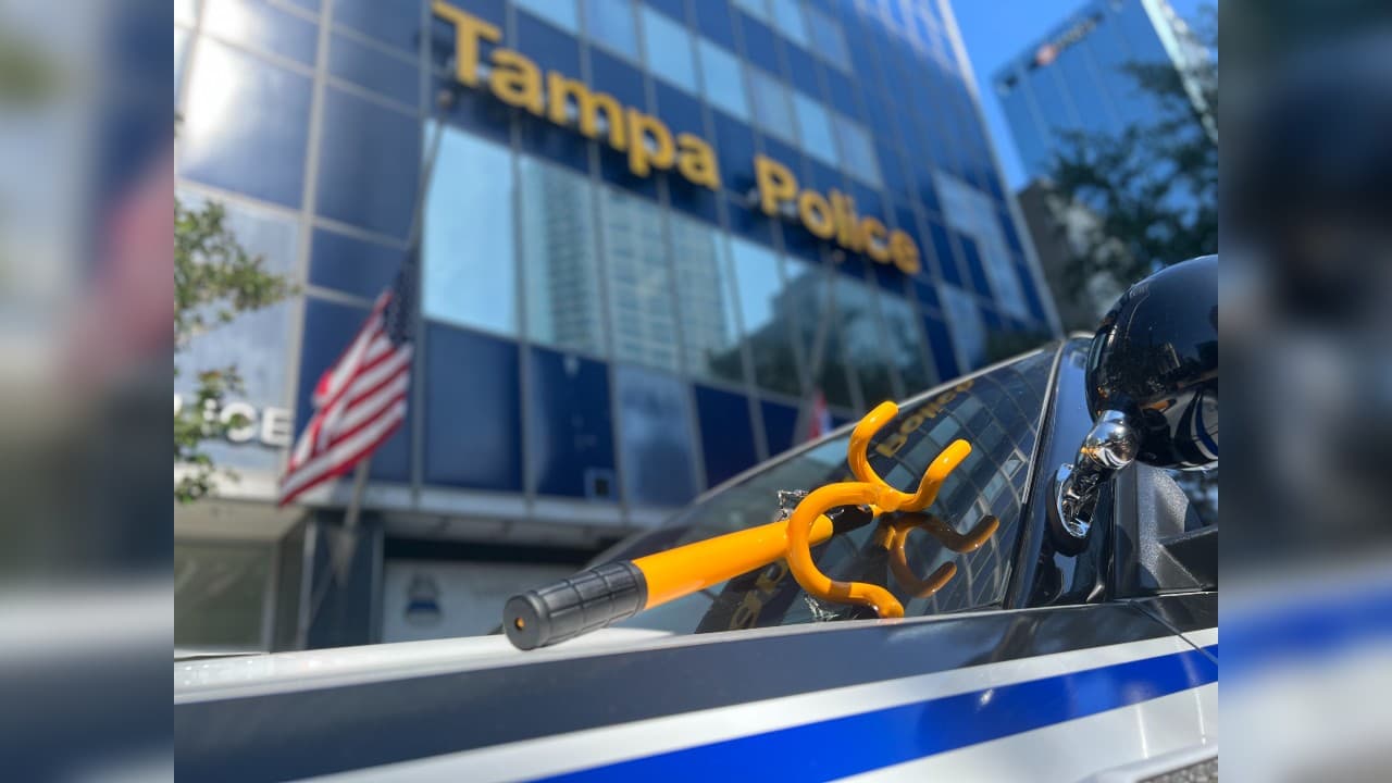 Si tienes un Hyundai o un Kia en Tampa, esto te interesa