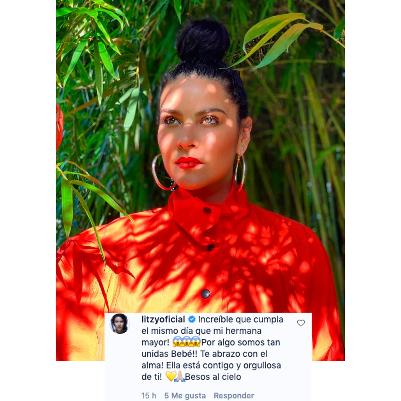 Vanessa Villela recibió mensajes de afecto de parte de sus compañeros actores. Litzy, con quien actuó en el melodrama 'Una maid en Manhattan', le escribió: "¡Increíble que cumpla el mismo día que mi hermana mayor! Por algo somos tan unidas, bebé. Te abrazo con el alma. ¡Ella está contigo y orgullosa de ti! Besos al cielo".