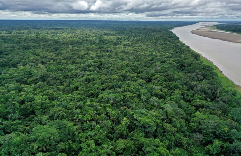 <b>La Amazonia.</b> El pulmón verde de Sudamérica vive 
<a href="https://www.swissinfo.ch/spa/dia-tierra-amazon%C3%ADa--cr%C3%B3nica-_la-deforestaci%C3%B3n-de-la-amazon%C3%ADa--una-epidemia-ambiental-en-silencioso-auge/46556574" target="_blank">uno de sus momentos más difíciles debido a la deforestación</a>, que solo en 2020 arrasó 2.3 millones de hectáreas de selva, una superficie más grande que toda la extensión de El Salvador.