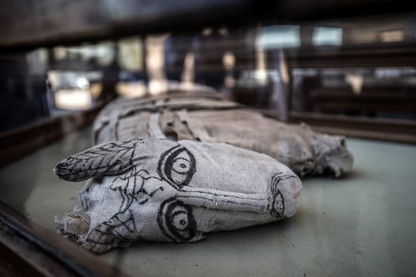 El ministro explicó que los estudios arqueológicos iniciales mostraron que cinco de las momias son cachorros de león.
<br>