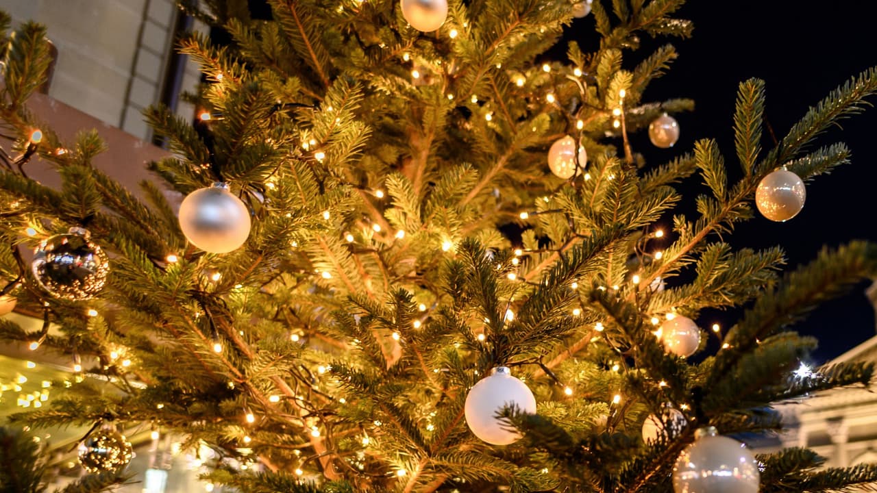 ¿Cómo evitar incendios relacionados con las decoraciones navideñas? Te tenemos algunas recomendaciones