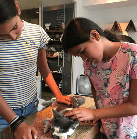 Antonella y Michaella vivieron una linda experiencia con estos gatitos en Koneko cat café. "Estoy tan orgullosa de su amor por los animales".