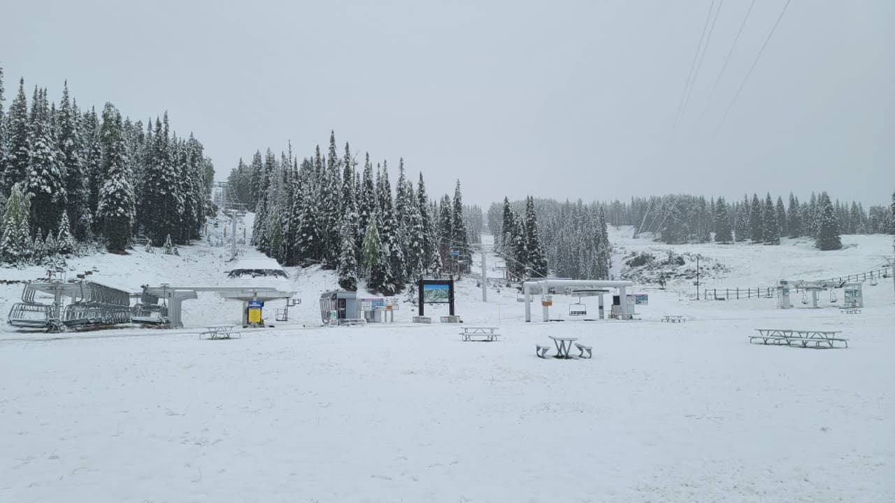 Este destino de recreación en
<a href="https://goo.gl/maps/WZPiqhVWfpFHREUW6" target="_blank">Greer, Arizona</a> informó que esta mañana recibió al menos dos pulgadas de nieve y fue lo suficiente para
<br>cubrir su área de esquí este jueves.