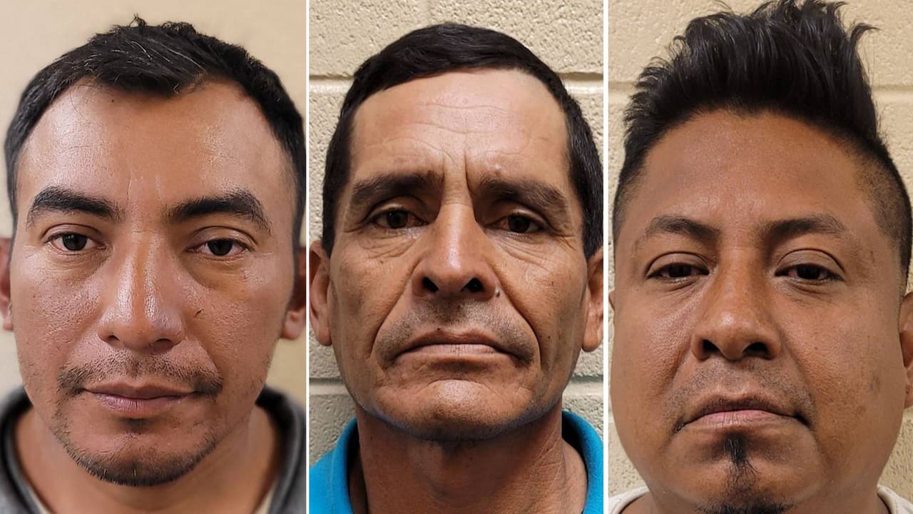 Arrestados en la frontera, ellos habían cometido crímenes, los deportaron y regresaron 