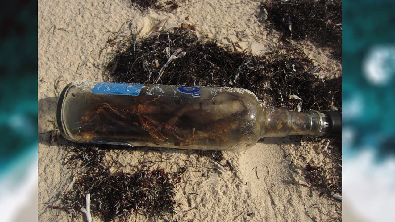 La lluvia estaba arruinando sus vacaciones hasta que vio algo que a los lejos brillaba desde la arena, al acercarse se encontró una botella y pensó que sería un curioso regalo para su hermano.