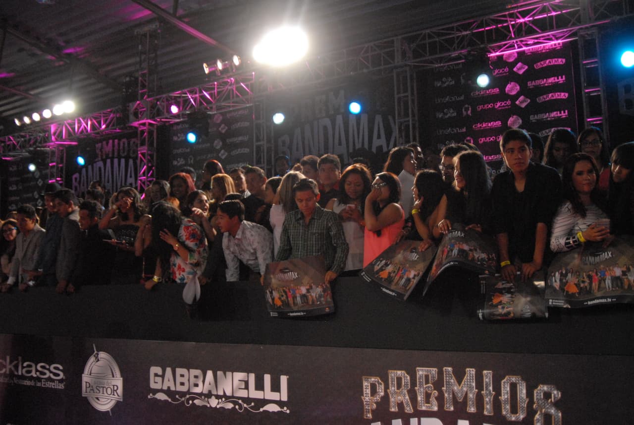 Antes del show, el público enloqueció con el paso de las estrellas por la alfombra.