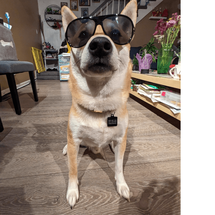 Akio luce unos lentes de sol, preparándose para las condiciones de los próximos días.