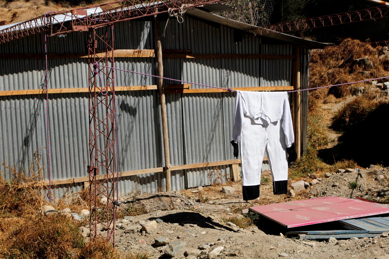 La piel de cebra se trata con cuidado: se limpia y se zurce si es necesario.