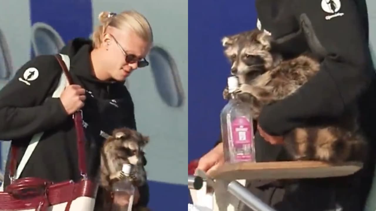 ¡Erling Haaland regresa a Noruega con un costoso mapache!