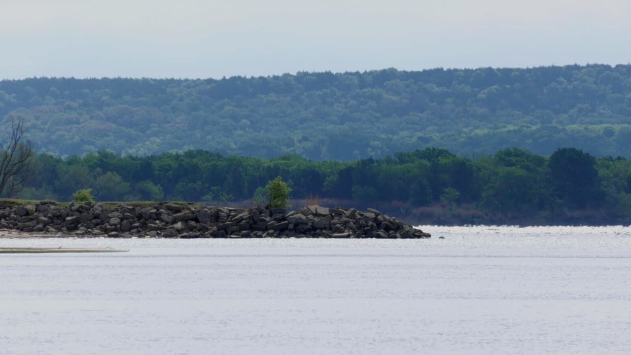 El Lago Joe Pool, ubicado al este de Grand Prairie cerca de Mountain Creek es un área natural de 6,469 acres. "Es hermoso y te relaja despues de una semana de trabajo pesado", escribió Brasyl Martínez en las reseñas de Google Maps. 
<br>