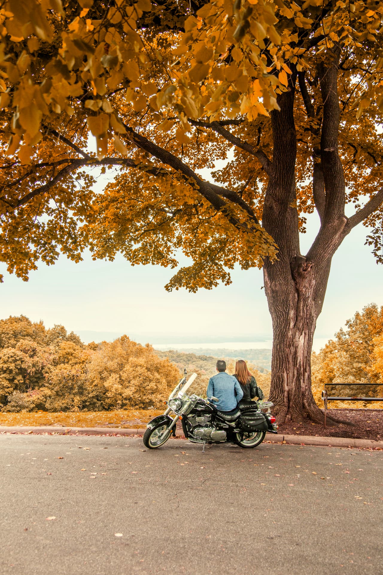El "camino más hermoso del mundo", como lo llamó el presidente Theodore Roosevelt en una visita a Peoria en 1910, ofrece a los visitantes numerosas vistas panorámicas del valle del río Illinois y el oportunidad de ver muchas casas históricas y notables que lo bordean. El camino es especialmente hermoso en otoño, con los colores siempre cambiantes de las hojas otoñales.