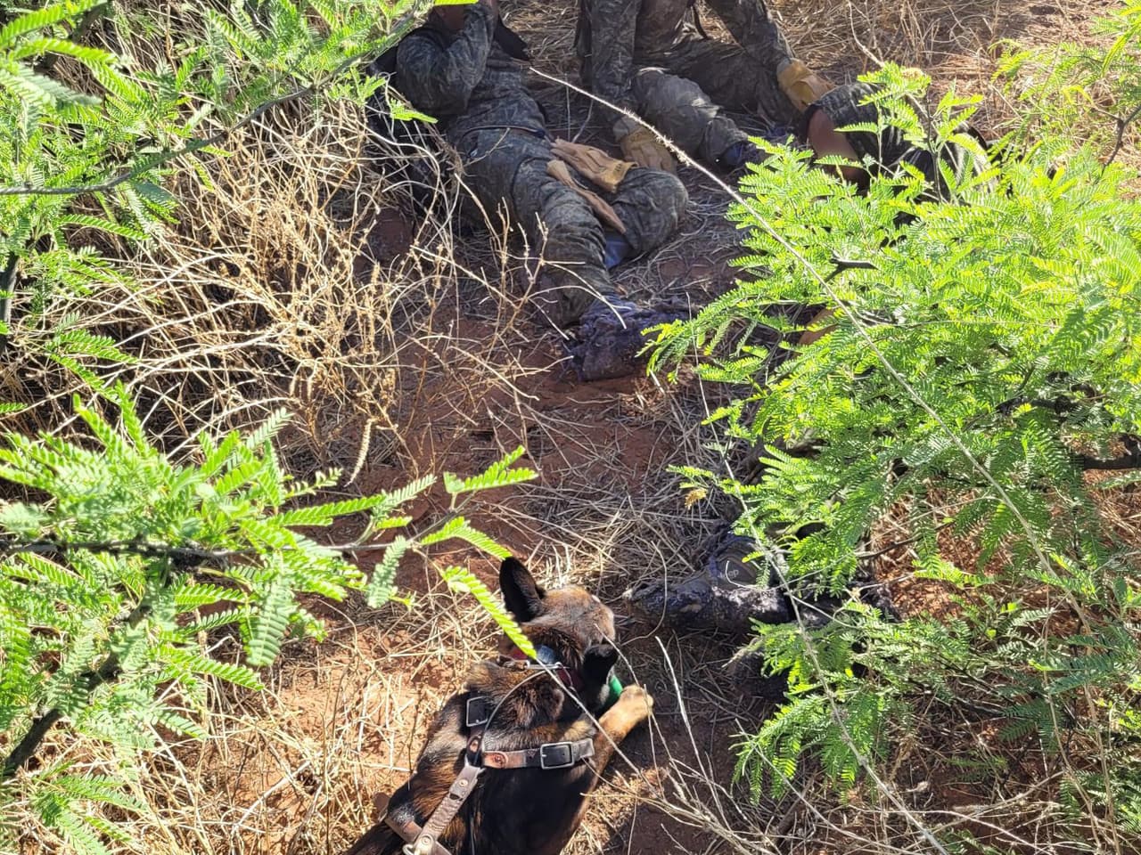 Varios de ellos se arrastraban por el piso para evitar ser detectados por la tecnología fronteriza.