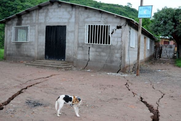 No existe un censo verificable sobre el fenómeno.