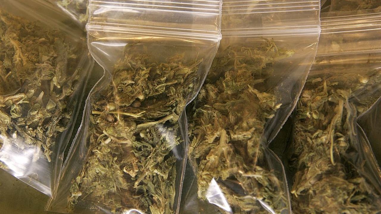 La marihuana recreativa ya es legal en Nueva York, pero no todos están contentos con la nueva ley