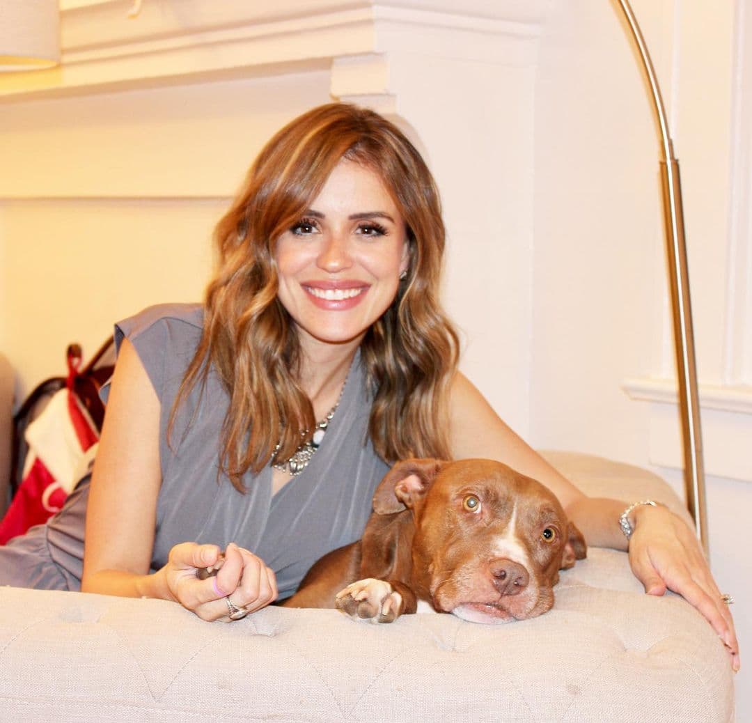 Cuando Carolina está dando las noticias, ya sea en la Edición Digital - Univision o en Despierta América, sus perros se quedan en casa.